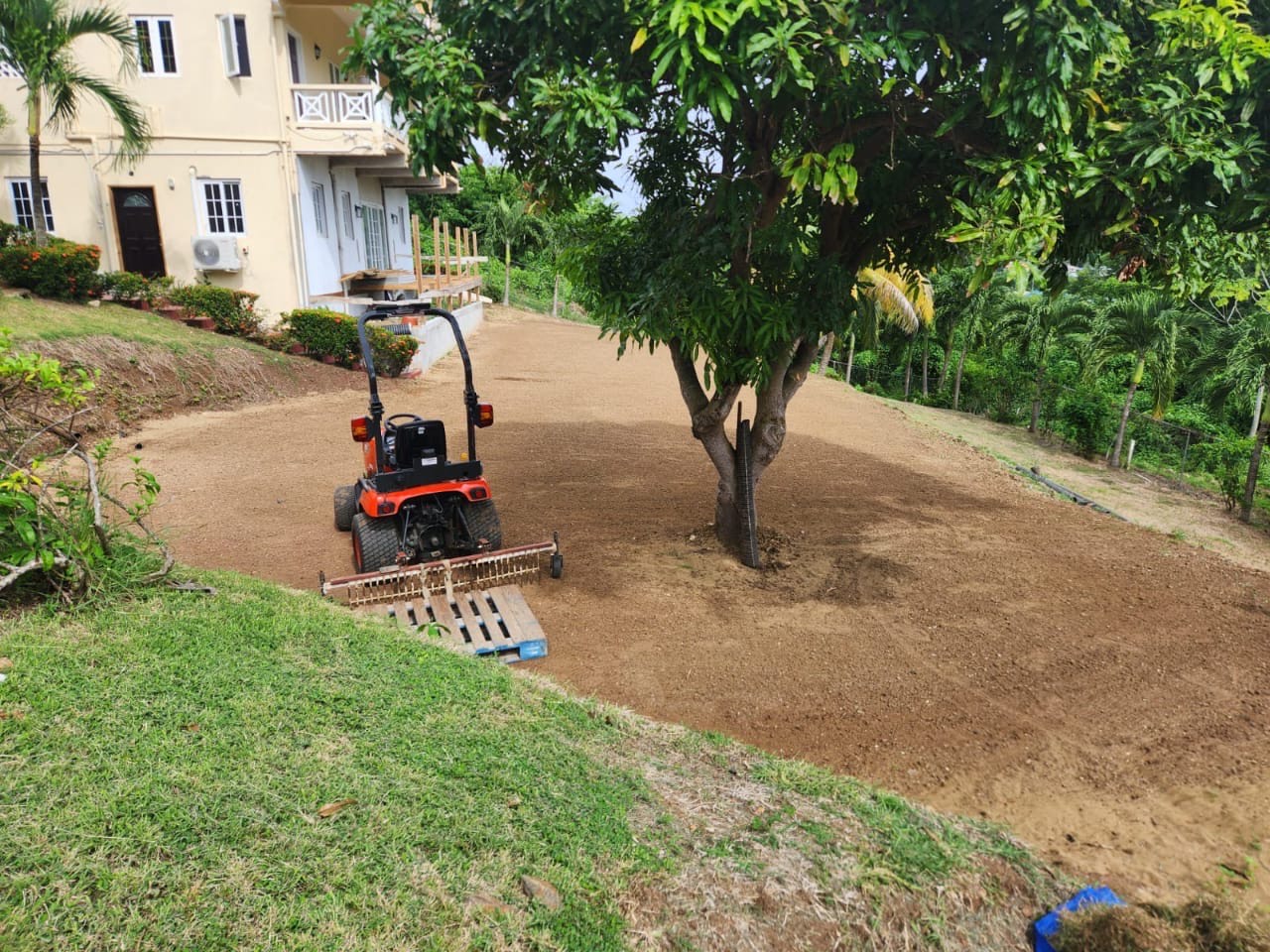 Land clearing and grading around trees in Saint Lucia with Turf Pro Landscaping ensuring precise site preparation.
